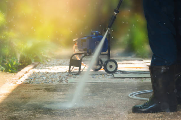 Best Roof Washing  in Maurice, LA